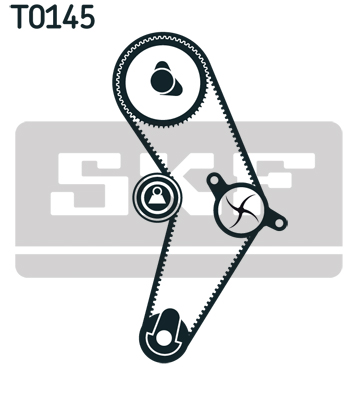 SKF Distributieriem kit inclusief waterpomp VKMC 01113-1