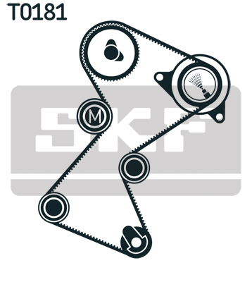 SKF Distributieriem kit VKMA 06117