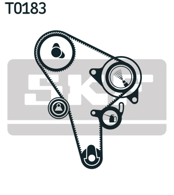 SKF Distributieriem kit VKMA 01015