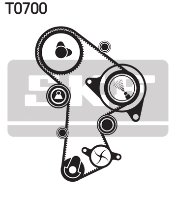 SKF Distributieriem kit inclusief waterpomp VKMC 01263-1