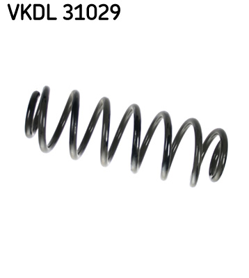 Veer SKF VKDL 31029