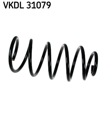 Veer SKF VKDL 31079