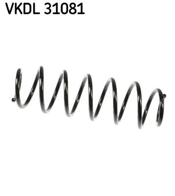 Veer SKF VKDL 31081
