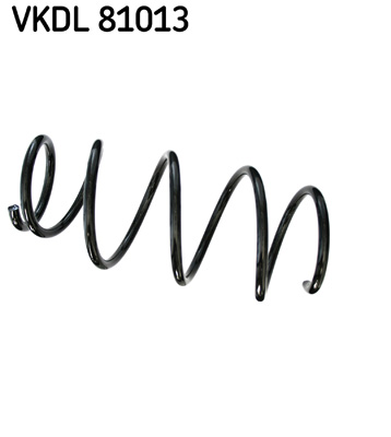 Veer SKF VKDL 81013