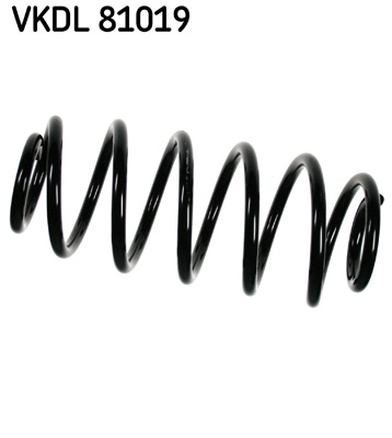Veer SKF VKDL 81019