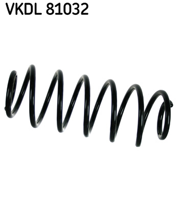 Veer SKF VKDL 81032