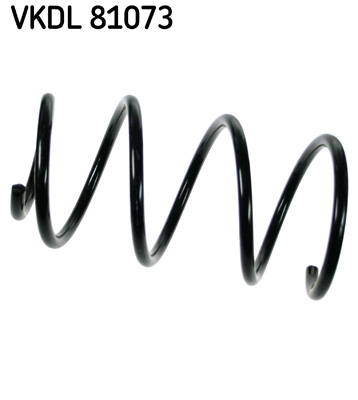 Veer SKF VKDL 81073