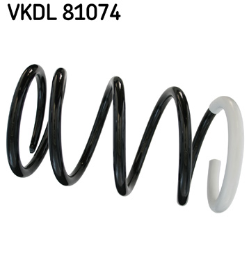 Veer SKF VKDL 81074