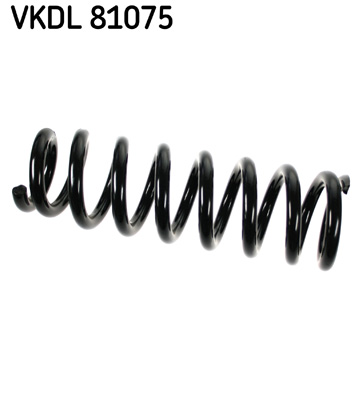 Veer SKF VKDL 81075