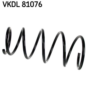 Veer SKF VKDL 81076