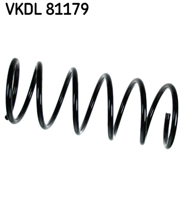 Veer SKF VKDL 81179