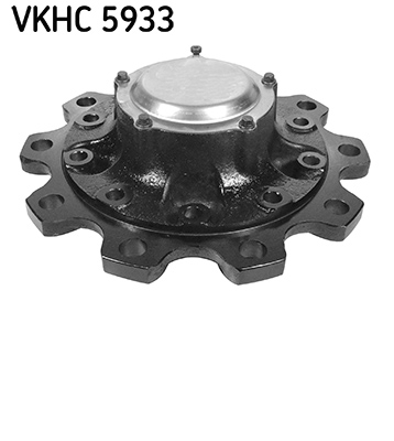 Wielnaaf SKF VKHC 5933