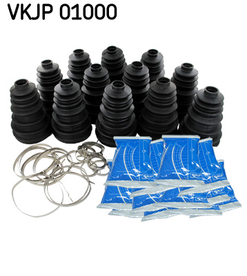 Asmanchet SKF VKJP 01000