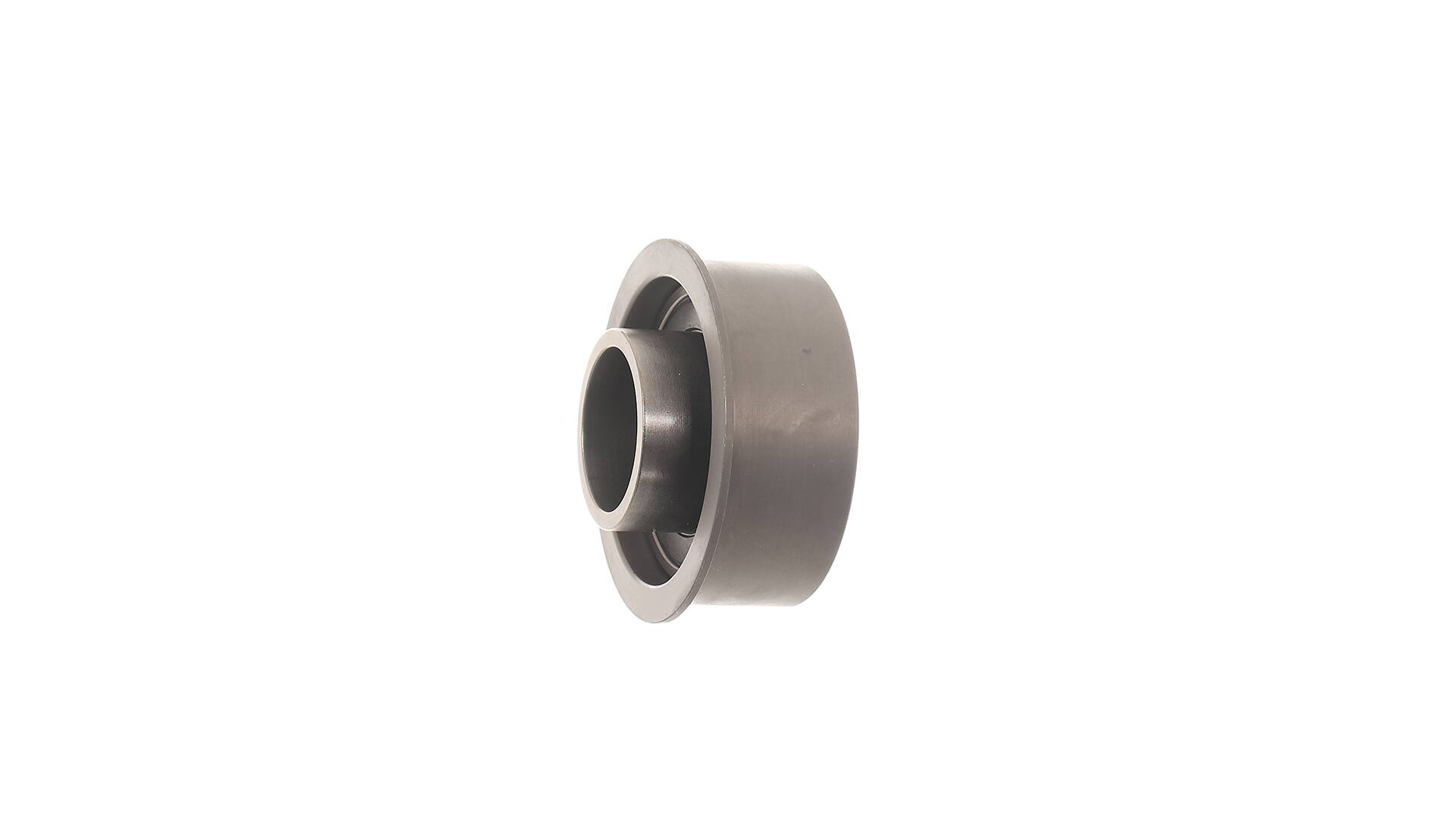 SKF Spanrol distributieriem VKM 75629