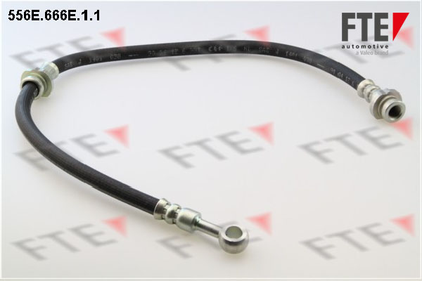 Remslang FTE 556E.666E.1.1