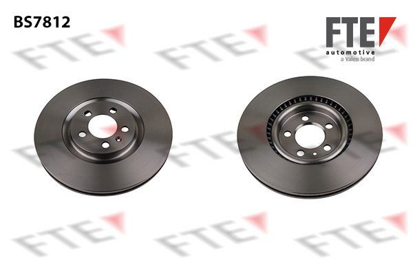 Remschijven FTE 9071284