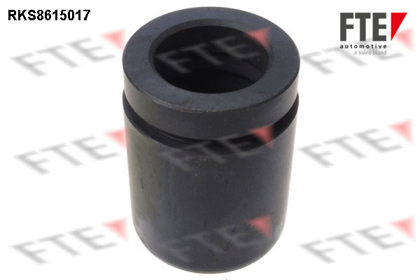 Remzadel/remklauw zuiger FTE 9313133