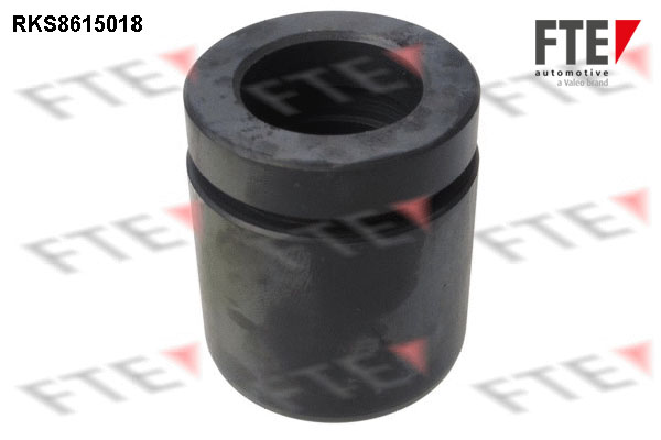 Remzadel/remklauw zuiger FTE 9313134