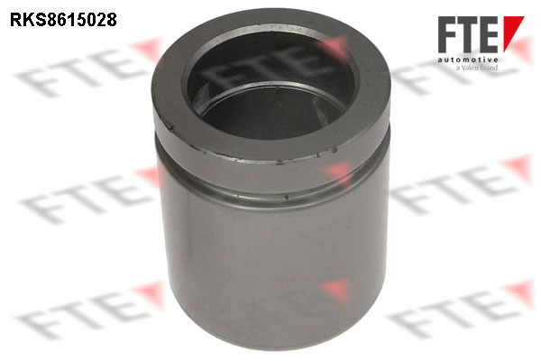 Remzadel/remklauw zuiger FTE 9313143