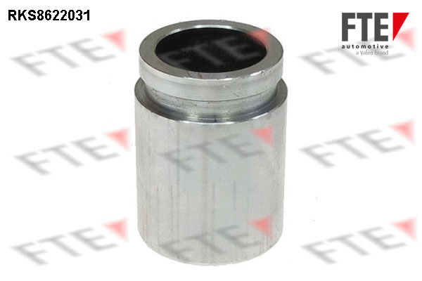 Remzadel/remklauw zuiger FTE 9313189