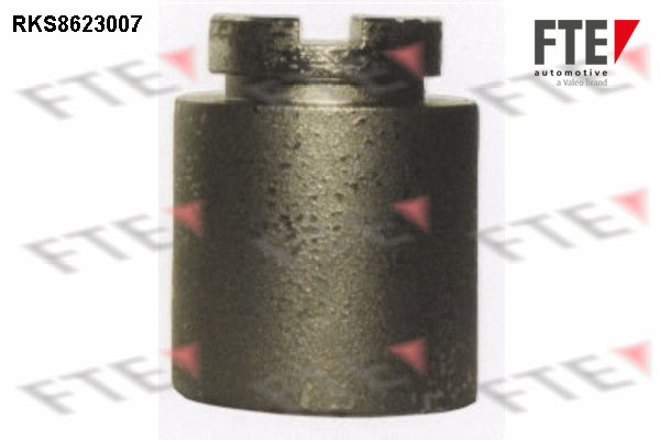 Remzadel/remklauw zuiger FTE 9313194