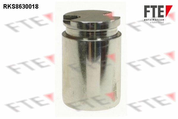 Remzadel/remklauw zuiger FTE 9313253