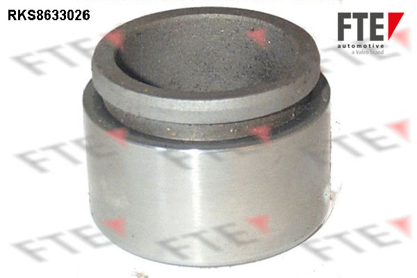 Remzadel/remklauw zuiger FTE 9313279