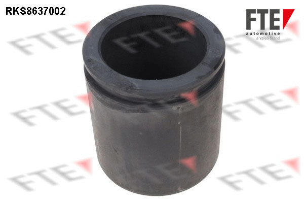 Remzadel/remklauw zuiger FTE 9313348