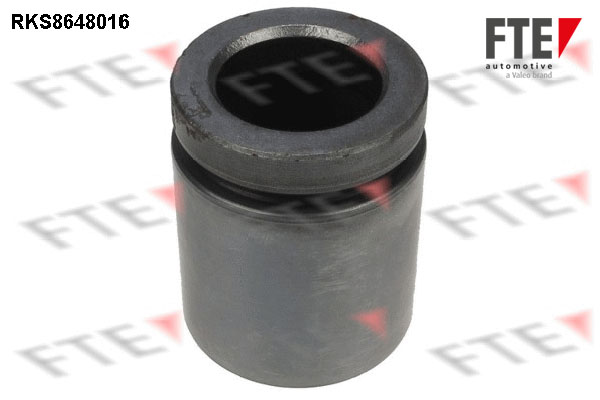 Remzadel/remklauw zuiger FTE 9313449