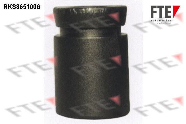 Remzadel/remklauw zuiger FTE 9313460