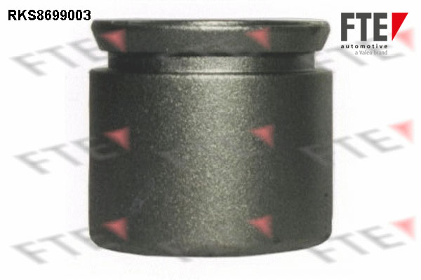 Remzadel/remklauw zuiger FTE 9313476