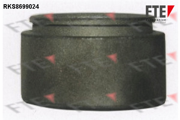 Remzadel/remklauw zuiger FTE 9313488