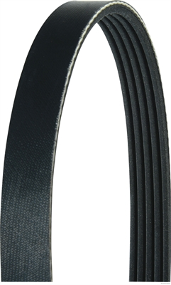 Poly V-riem Herth+Buss Jakoparts J1051800