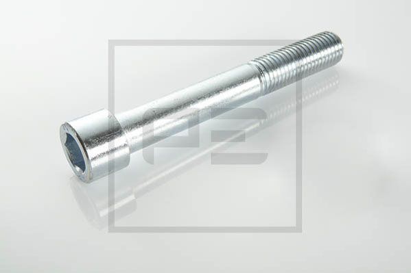 Schroef Pe Automotive 055.405-20A