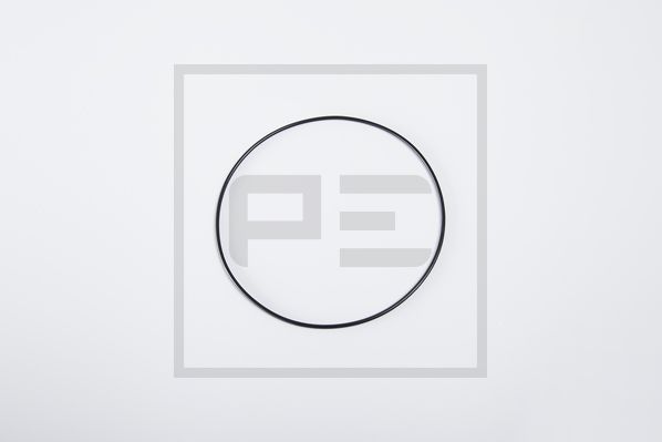 Afdichtring Pe Automotive 066.173-00A