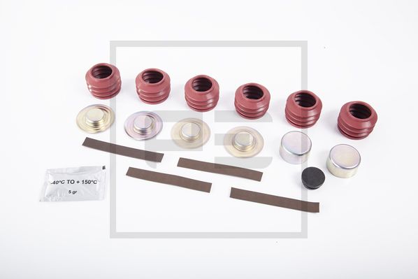 Remklauw revisie Pe Automotive 066.717-00A