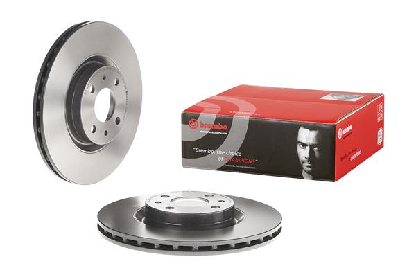 Brembo Remschijven 09.4939.11