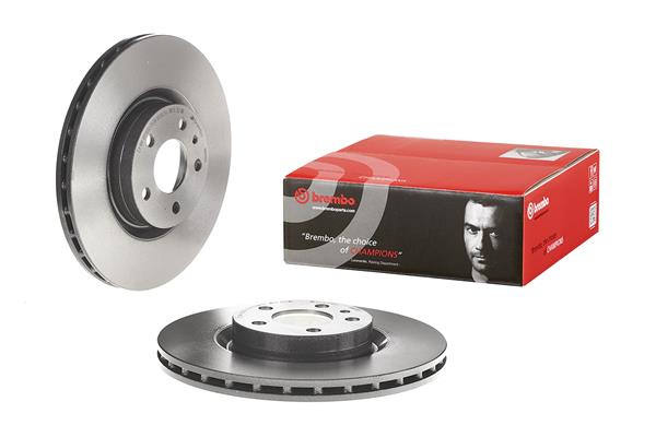 Brembo Remschijven 09.4939.21