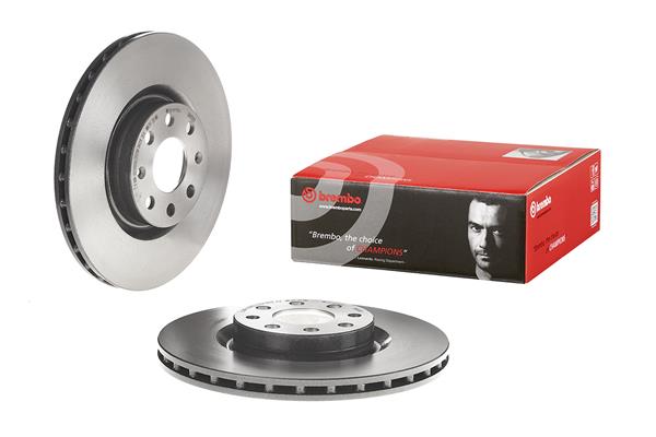 Brembo Remschijven 09.4939.31