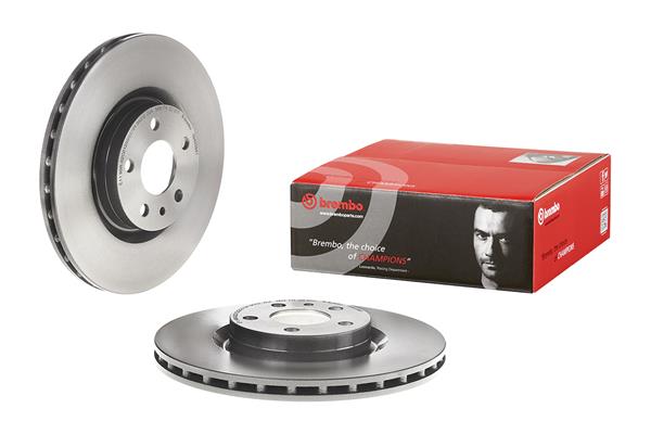 Brembo Remschijven 09.4939.41