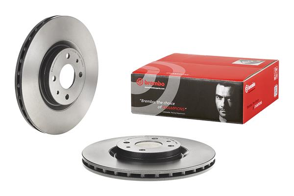 Brembo Remschijven 09.5058.11