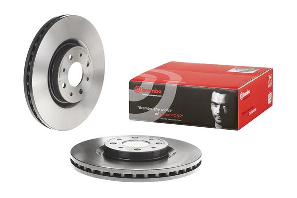 Brembo Remschijven 09.5180.31