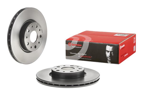 Brembo Remschijven 09.6769.21