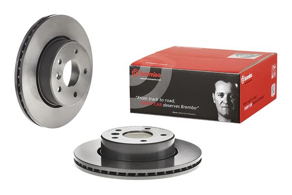 Brembo Remschijven 09.6839.11