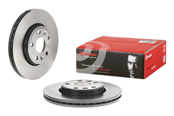 Brembo Remschijven 09.8137.31