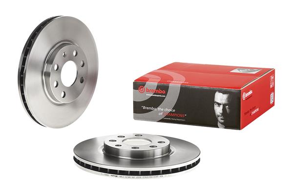 Brembo Remschijven 09.8601.10