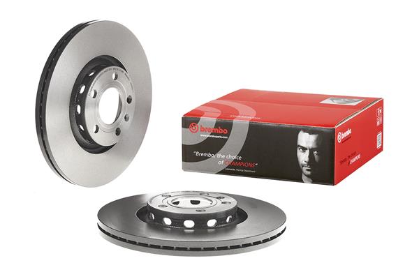 Brembo Remschijven 09.8690.11