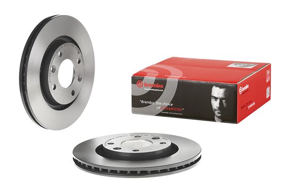 Brembo Remschijven 09.8695.11