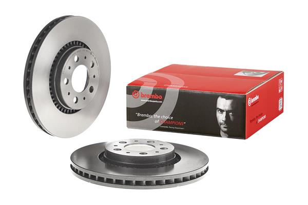 Brembo Remschijven 09.9130.11