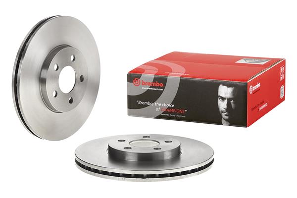 Brembo Remschijven 09.9133.81